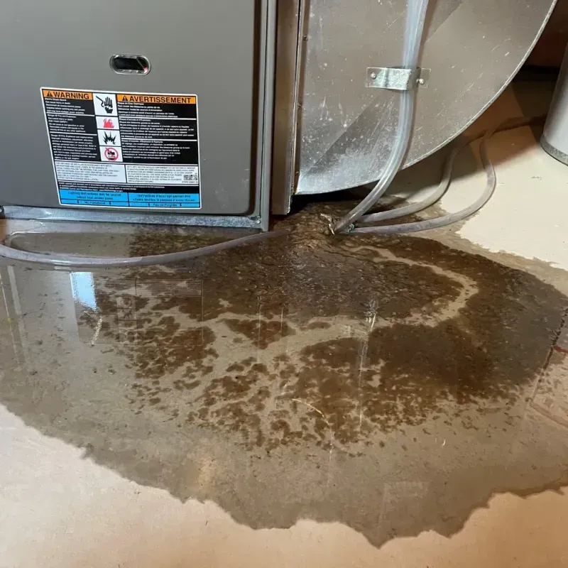 Appliance Leak Cleanup in Wonder Lake, IL